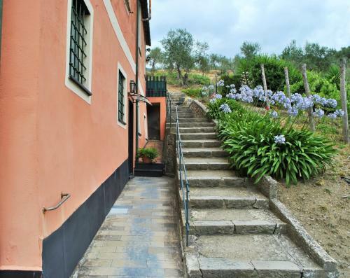 Agroturismo L' Amandola
