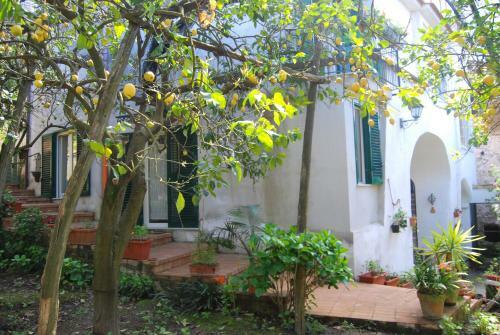 Hostal Sorrento Studios