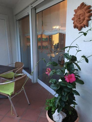 Hotel Le Palme " Adults Only "