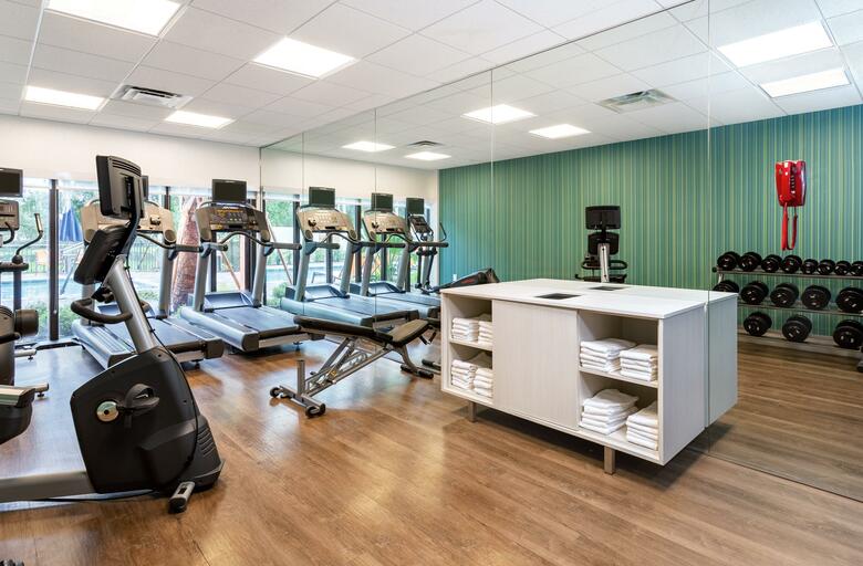 Hotel Holiday Inn Express Tampa/brandon