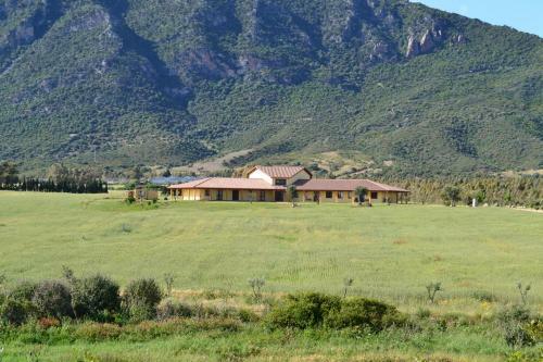 Agroturismo Agriturismo Saludi E Trigu