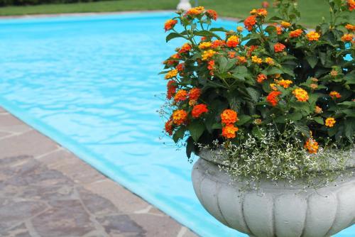 Hostal Garni Eckhardwies