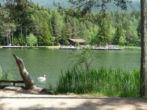 Apartamento Villa Gr�newald