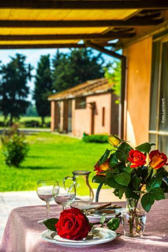 Agroturismo Podere Del Gesso