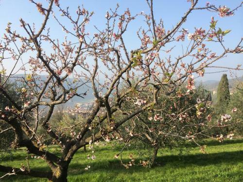 Agroturismo Agriturismo Il Pianetto
