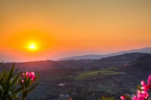 Agroturismo Agriturismo Il Pianetto