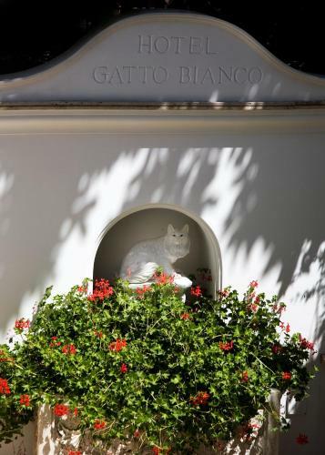 Hotel Albergo Gatto Bianco