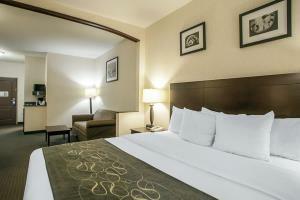 Hotel Comfort Suites