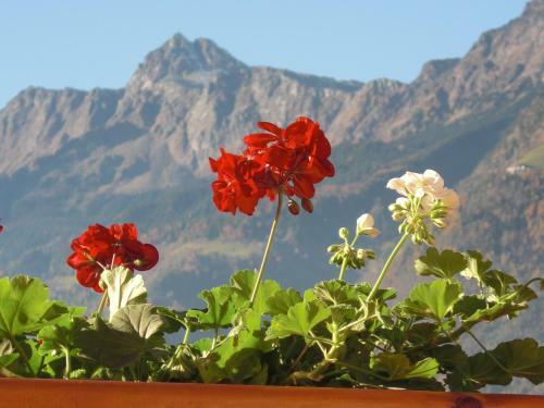 Bed & Breakfast Garni Unterhaslerhof