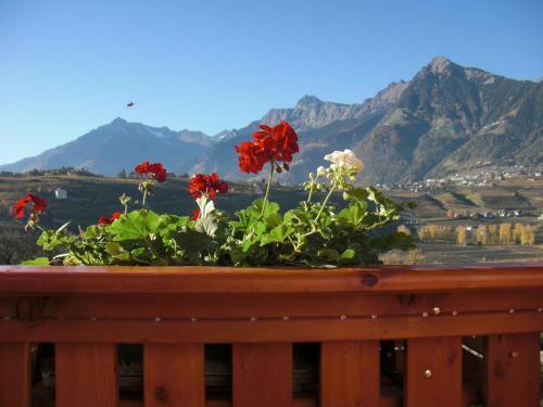 Bed & Breakfast Garni Unterhaslerhof
