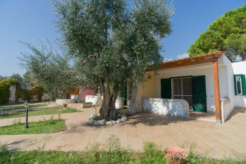 Apartamento Case Vacanze L'uliveto