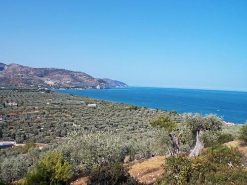 Apartamento Case Vacanze L'uliveto