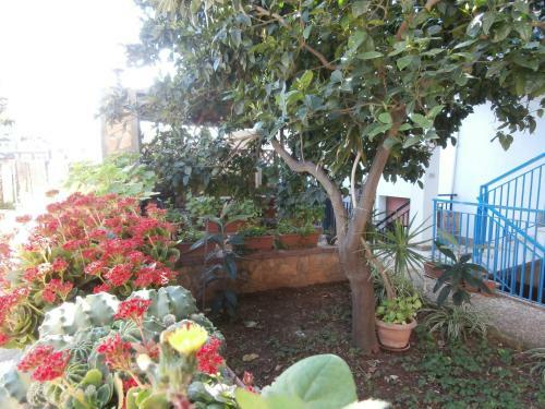 Busalacchi B&B