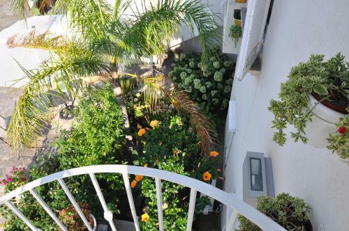 Apartamento Villa Searose