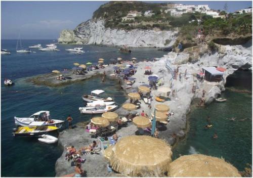 Hotel Ortensia