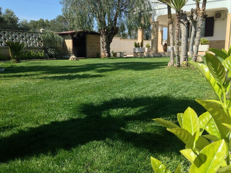 B&B Mim�
