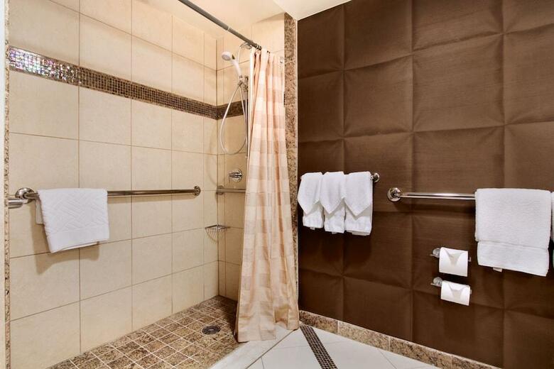 Hotel Hilton Washington Dulles Airport