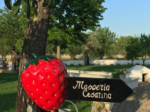 Agroturismo Masseria Cesarina B&B