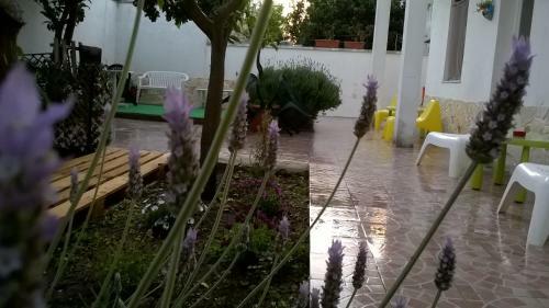 B&B Fenice Barocca