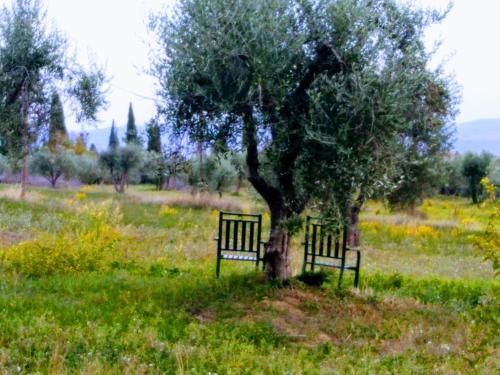 Holiday Home Il Colle