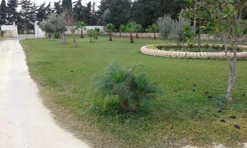 Bed & Breakfast Apollonion Country House