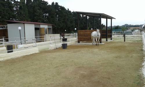 Bed & Breakfast Apollonion Country House