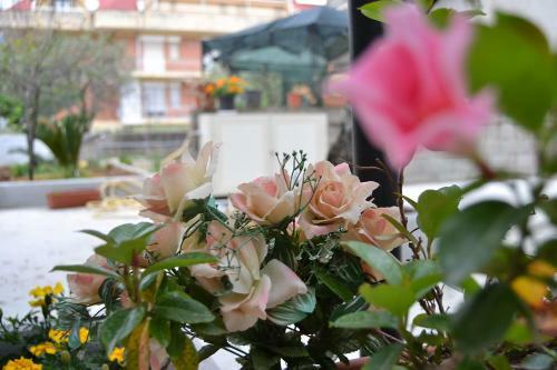 Hostal B&B Il Girasole Formia Guesthouse