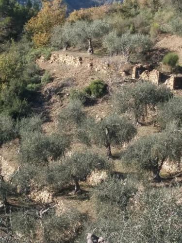 B&B Da Giua'