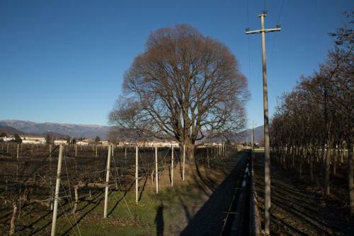 Bed & Breakfast Al Bagolaro