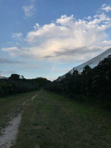 Bed & Breakfast Al Bagolaro
