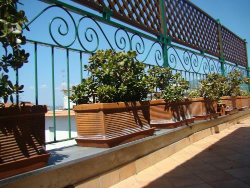 Hostal Sorrento Inn Guesthouse