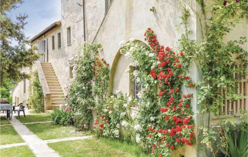 Sanlucchese 4