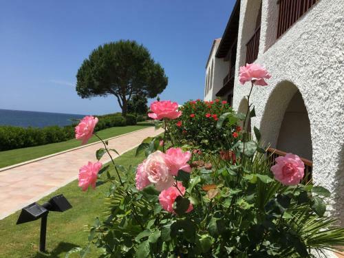 Hotel Punta Negra