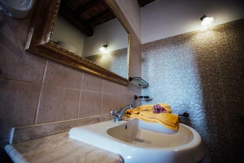 Agroturismo Agriturismo Palazzo Conti A