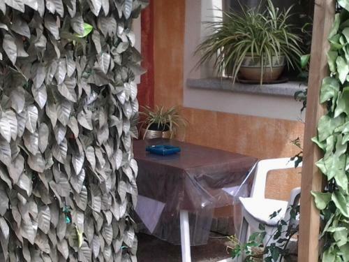 Hotel Sa Cralla