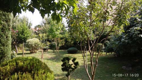 Apartamento Il Frutteto