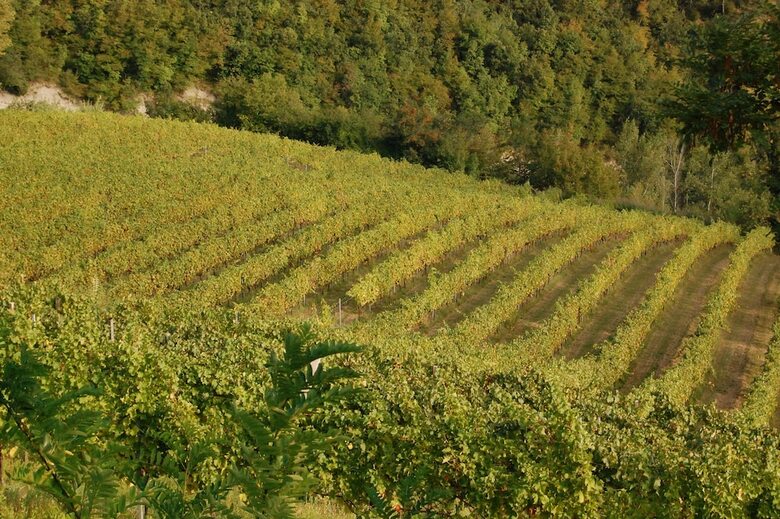 Agroturismo Villa Podere Quartarola