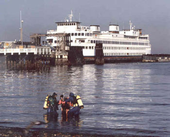 Hotel Best Western Edmonds Harbor Inn