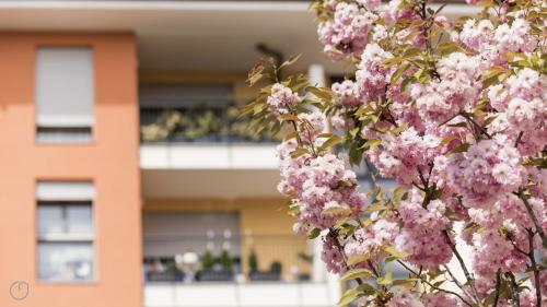 Italianway Apartments - Marcantonio