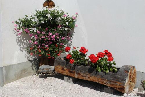 Agroturismo Watscherhof