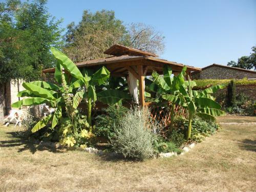 Hotel Il Pietreto