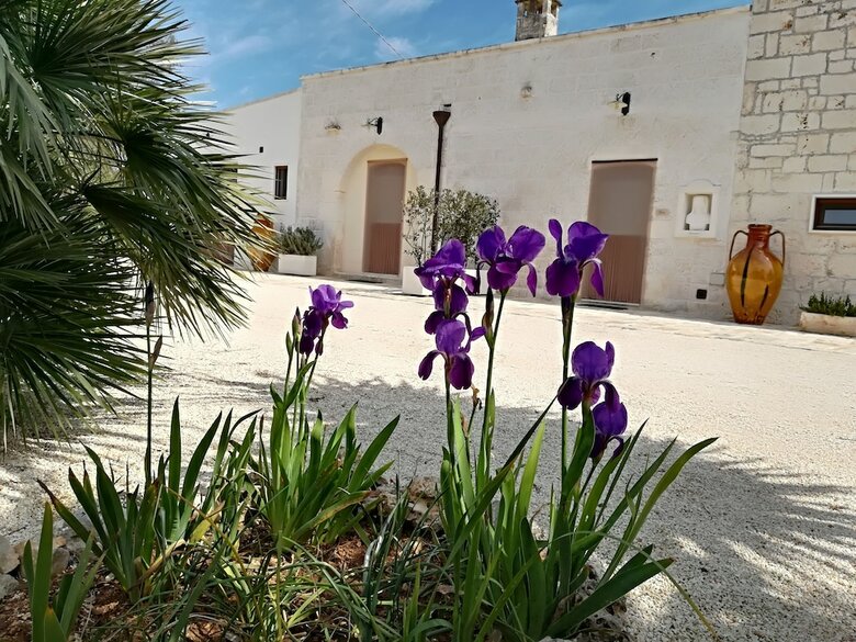 B&B Demetra