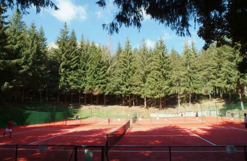 Bed & Breakfast La Pinetina