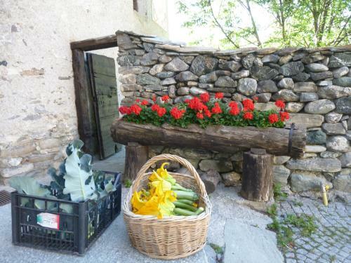 Agroturismo Agriturismo Barba Gust