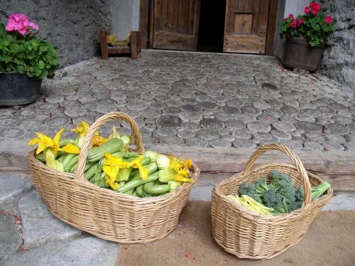 Agroturismo Agriturismo Barba Gust