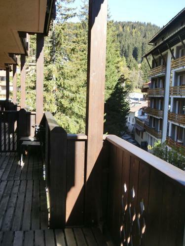 Sport Campiglio Apartment