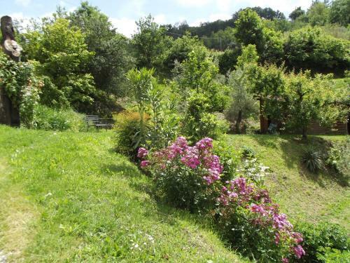 Apartamento Agriturismo Brasino