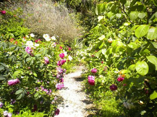 La Gallina Felice B&B