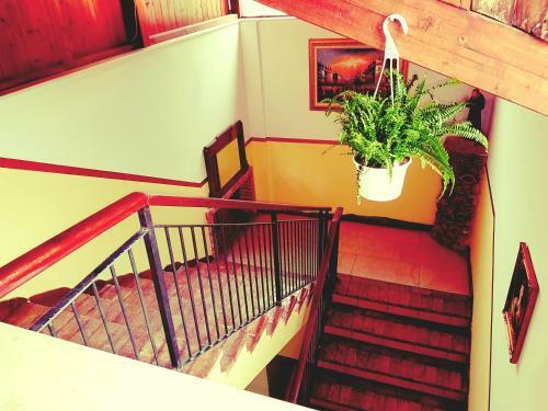 B&B Antica Trattoria