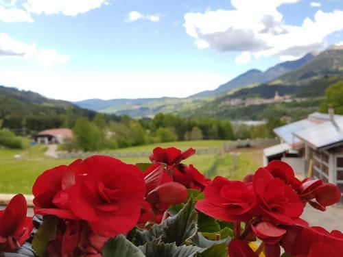 Agroturismo Agritur Piasina